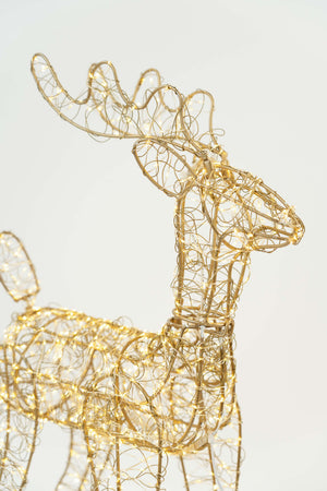 Carraig Donn Christmas Reindeer 60cm With 1000 LED Lights