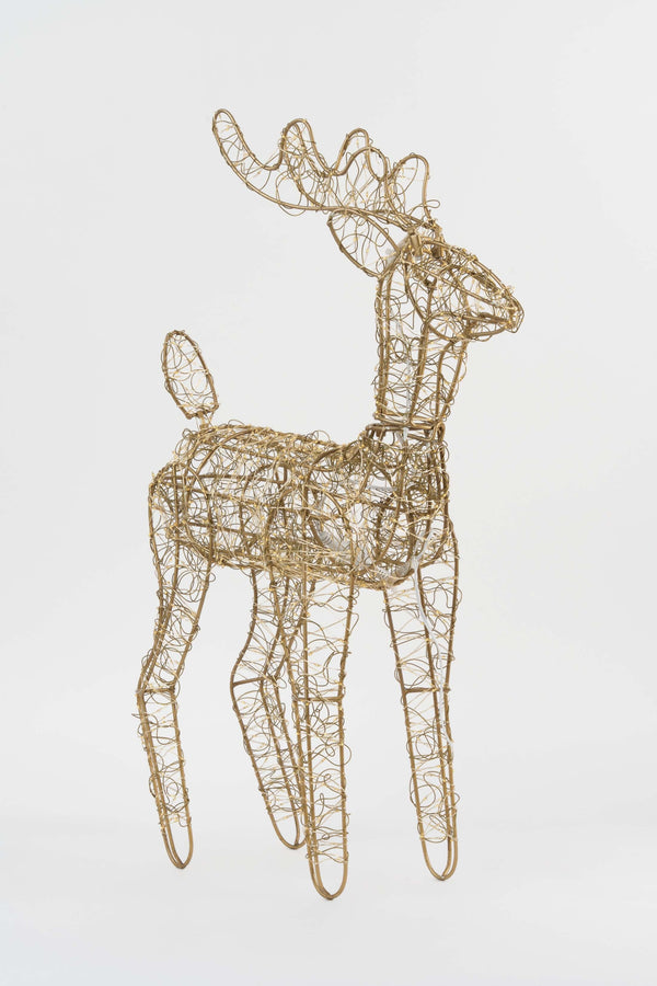 Carraig Donn Christmas Reindeer 60cm With 1000 LED Lights