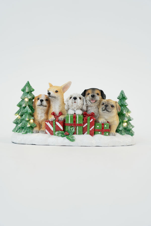 Carraig Donn Dogs Dec