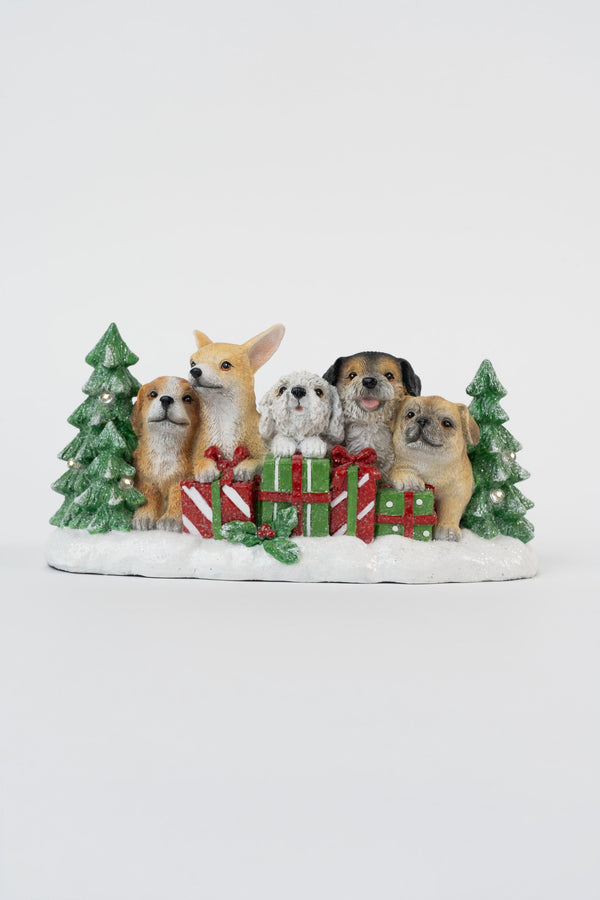 Carraig Donn Dogs Dec