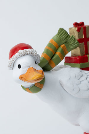 Carraig Donn Duck Sking