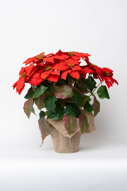 Extra Large Red Christmas Faux Poinsettia With Wrapped Vase
