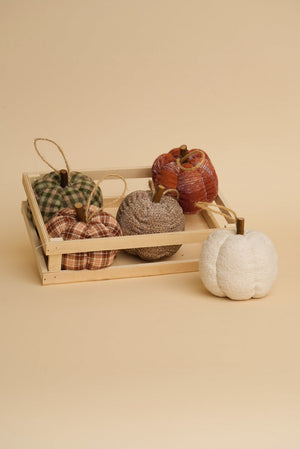 Carraig Donn Fabric Mini Halloween Pumpkin in Tray Set of 5