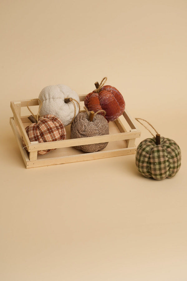 Carraig Donn Fabric Mini Halloween Pumpkin in Tray Set of 5