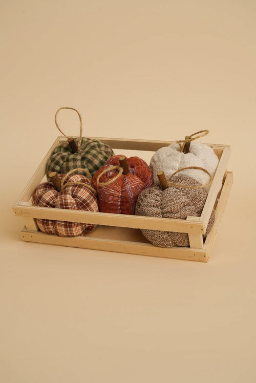 Fabric Mini Halloween Pumpkin in Tray Set of 5