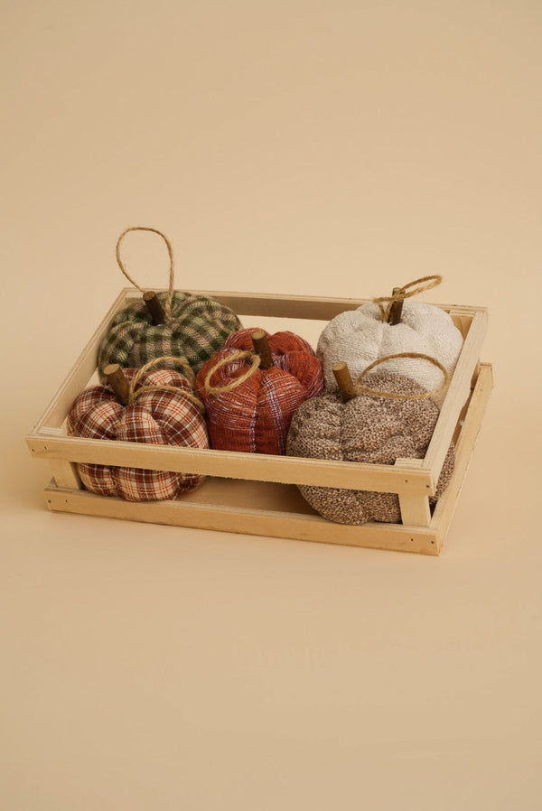 Carraig Donn Fabric Mini Halloween Pumpkin in Tray Set of 5