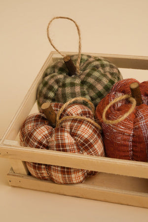 Carraig Donn Fabric Mini Halloween Pumpkin in Tray Set of 5