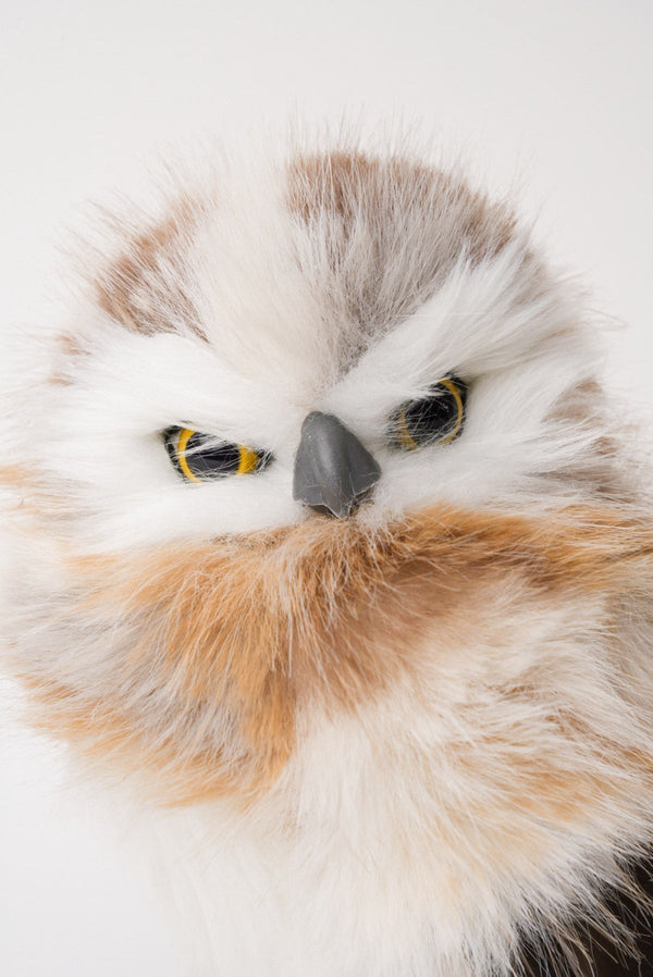 Carraig Donn Fluffy Owl Medium