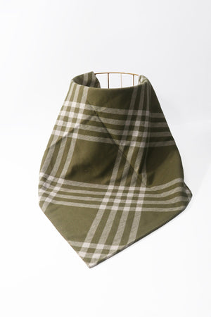 Carraig Donn Green & White Plaid Viscose Scarf