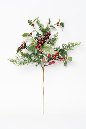 Carraig Donn Holly Pick