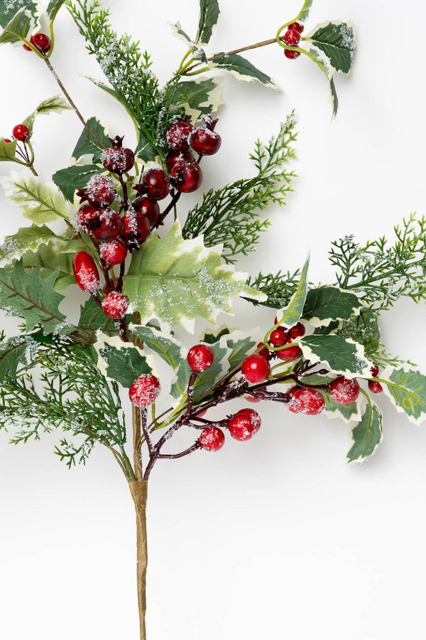 Carraig Donn Holly Pick