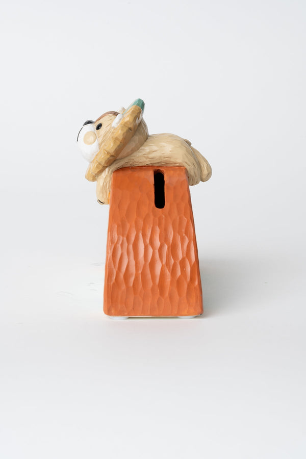 Carraig Donn Leo Rainbow Money Box
