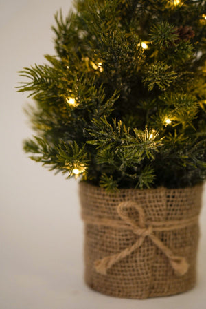 Carraig Donn Mini LED Faux Christmas Tree With Wrapped Vase