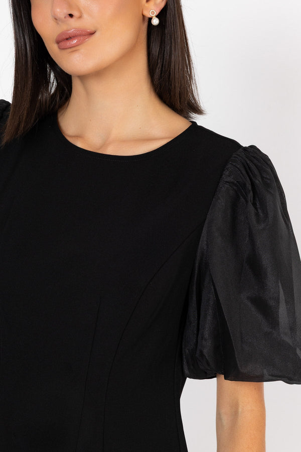 Carraig Donn Organza Sleeve Dress