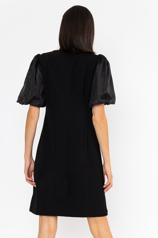 Carraig Donn Organza Sleeve Dress