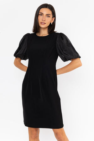 Carraig Donn Organza Sleeve Dress