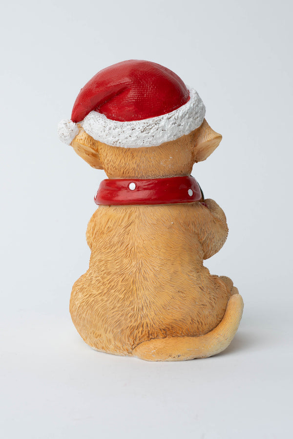 Carraig Donn Puppy With Donnut