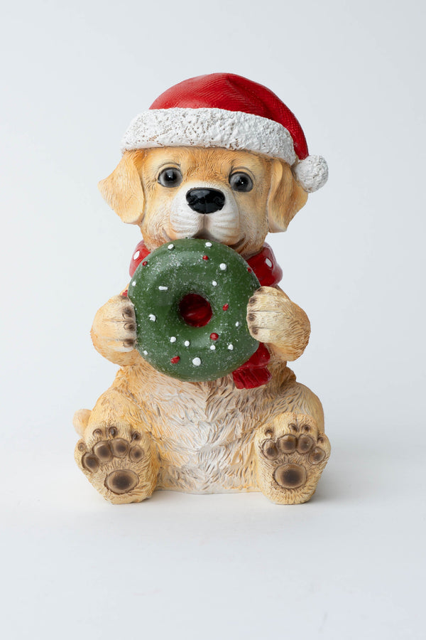 Carraig Donn Puppy With Donnut