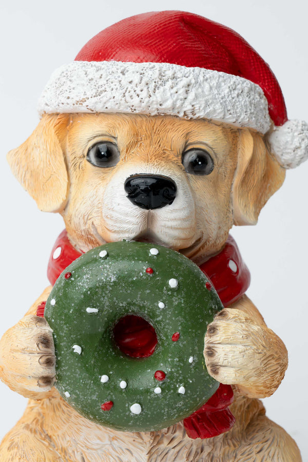 Carraig Donn Puppy With Donnut
