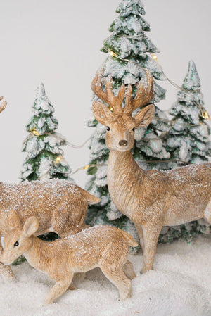 Carraig Donn Reindeer Family