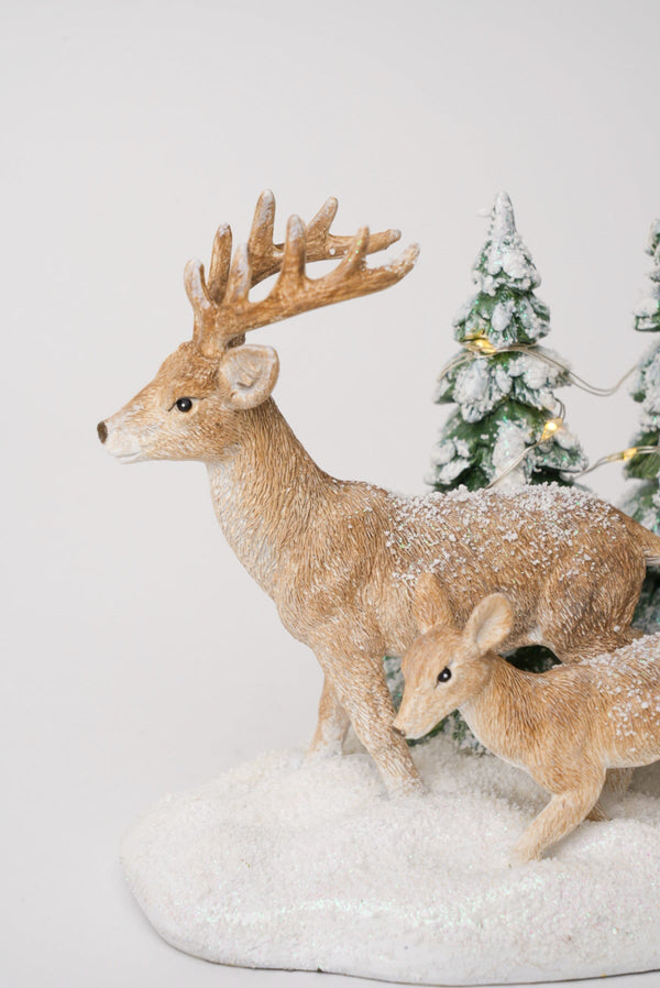 Carraig Donn Reindeer Family