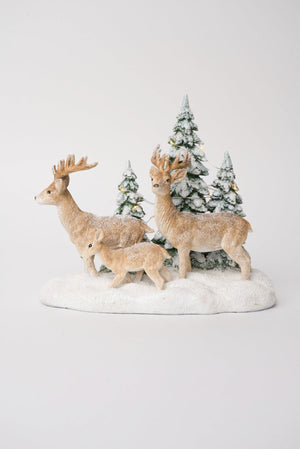 Carraig Donn Reindeer Family