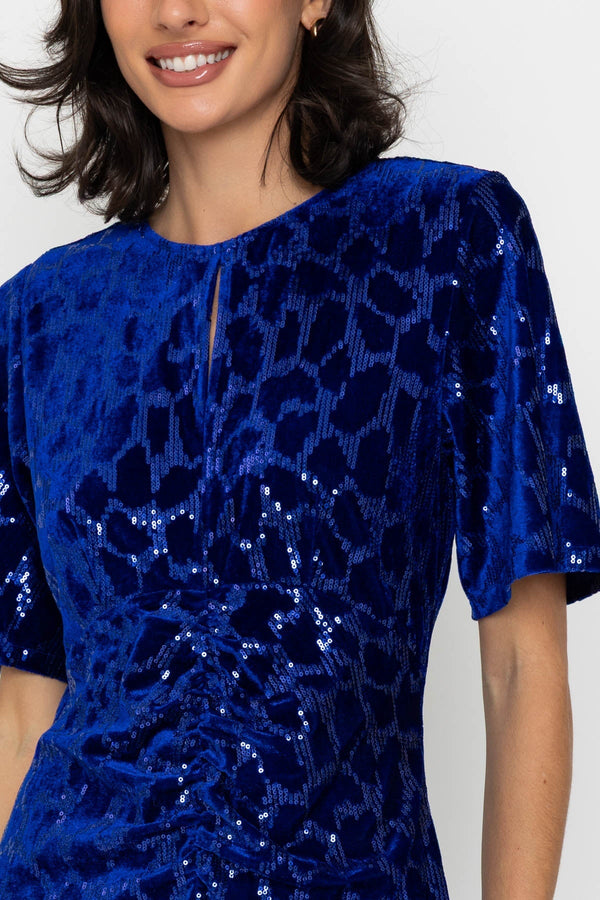 Carraig Donn Sequin Velvet Dress