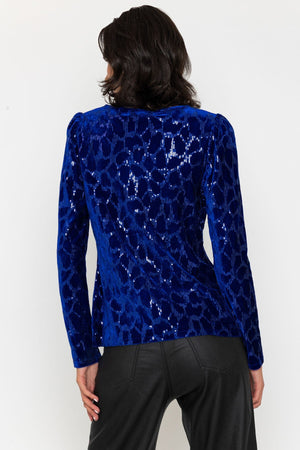 Carraig Donn Sequin Velvet Top