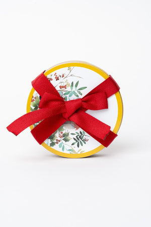 Carraig Donn Set Of 6 Christmas Robin Coaster