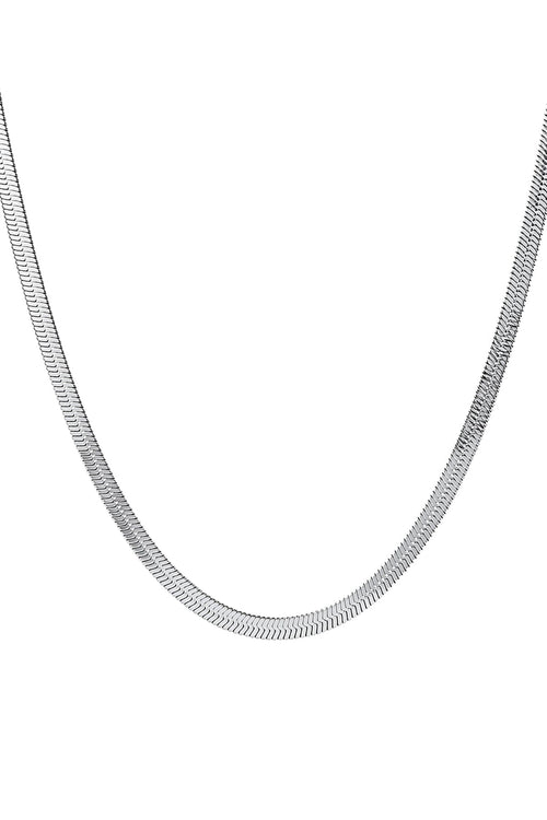 Silver Snake Chain