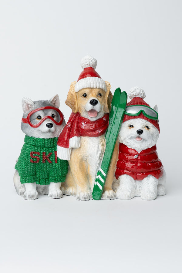 Carraig Donn Ski Dogs