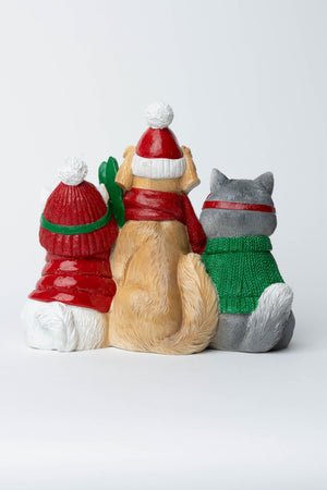 Carraig Donn Ski Dogs