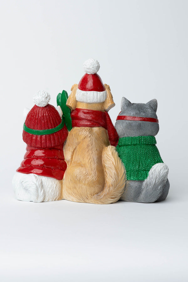 Carraig Donn Ski Dogs