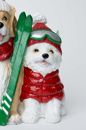 Carraig Donn Ski Dogs