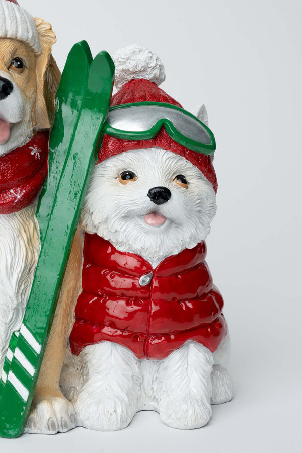 Carraig Donn Ski Dogs