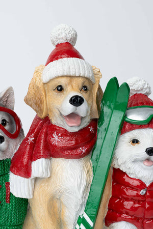 Carraig Donn Ski Dogs