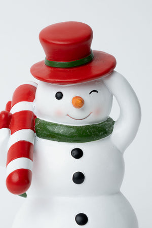 Carraig Donn Snowman