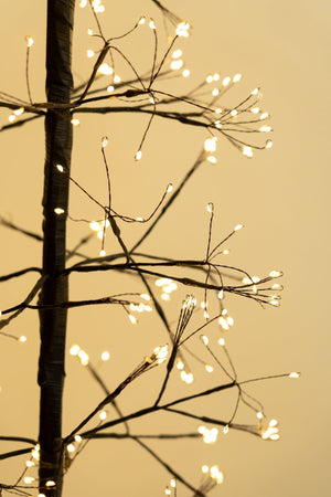 Carraig Donn Starlight 210cm Christmas Tree With 1224 LED Lights