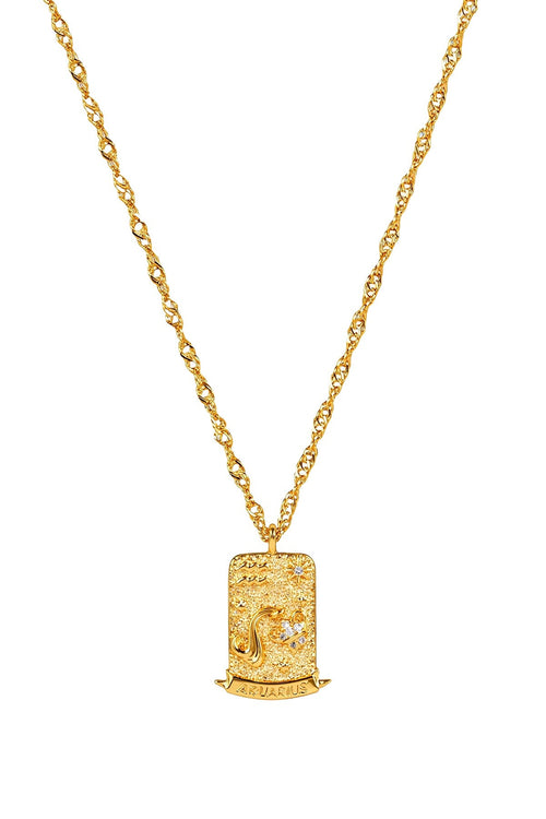 The Pink Box Zodiac Aquarius Necklace