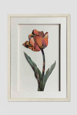 Carraig Donn 3D Plum Tulip Art