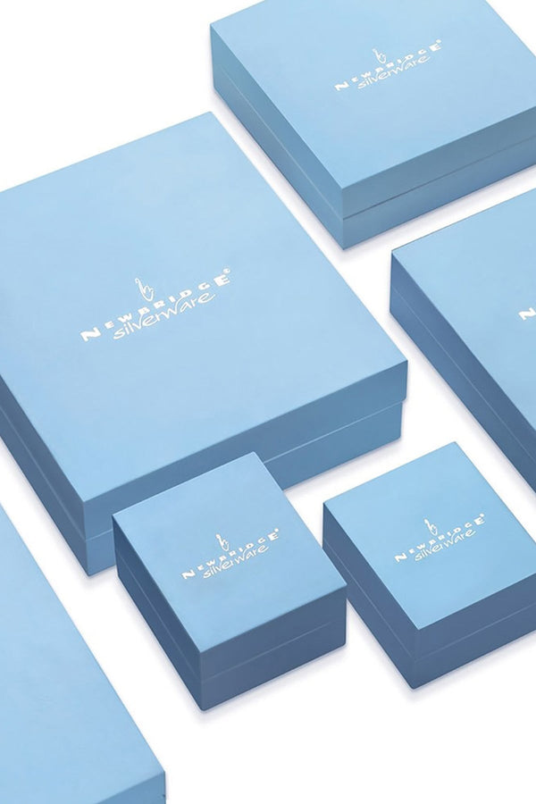 Carraig Donn Clear Stone Heart Earrings