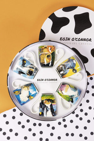 Eoin OConnor Set Of 6 Mugs in Hatbox