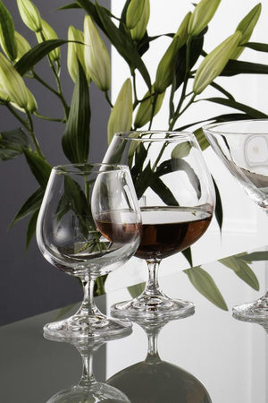 Carraig Donn Glass Brandy Balloon Set