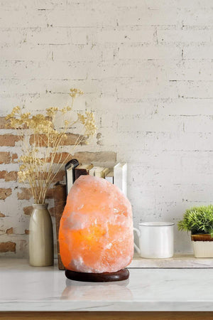 Carraig Donn Large Himalayan Salt Lamp