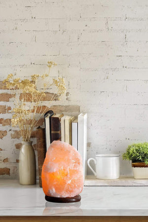 Carraig Donn Medium Himalayan Salt Lamp