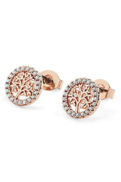 Carraig Donn Rose Gold Tree and CZ Circle Stud Earrings