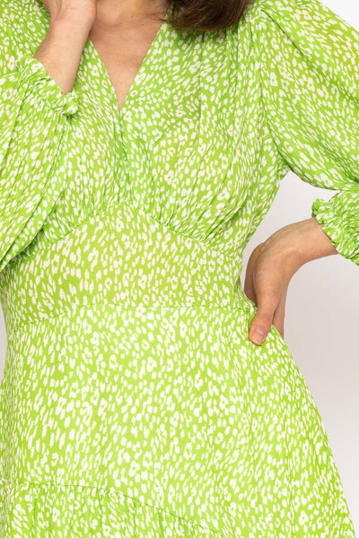 Carraig Donn Siobhan Green Print Midi Dress