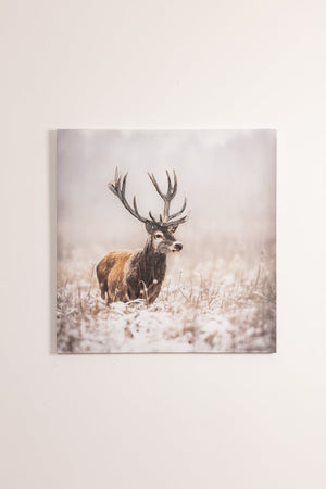 Stag Canvas Wall Art