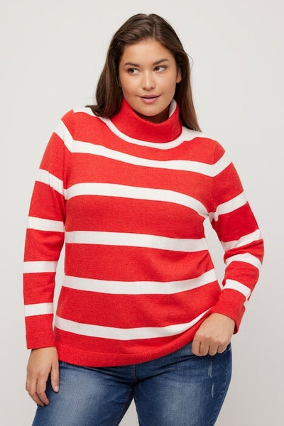 Carraig Donn Stripe Fine Knit Turtleneck Sweater in Red