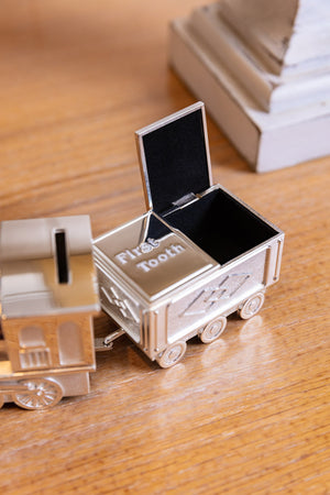 Carraig Donn Train Money Box Tooth & Curl